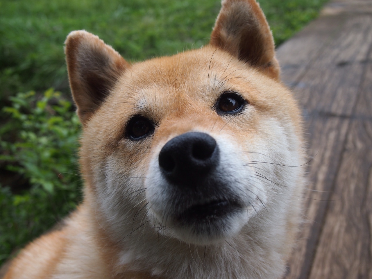 开云官网-哥伦比亚终结皇马，若日尼奥从暗影中走出的光辉时刻