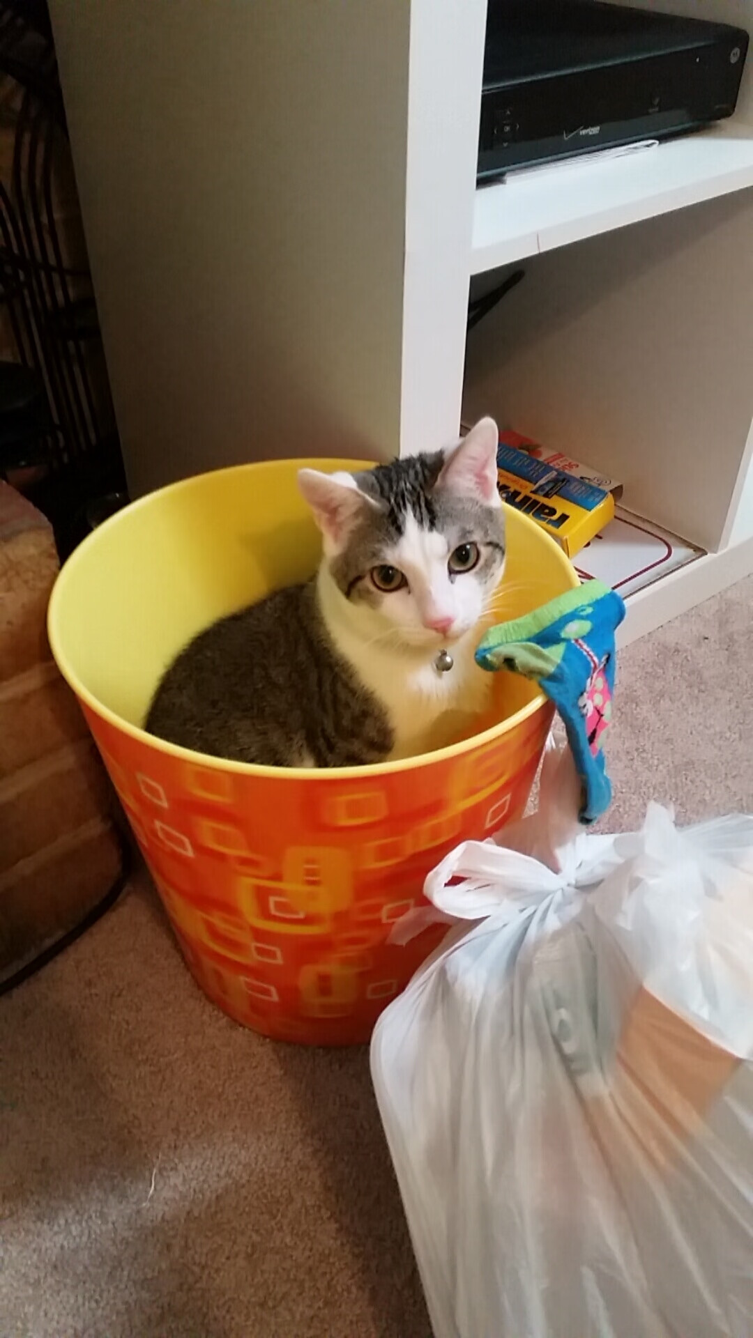 绿茵双城记,当德布劳内的手术刀,遇见法兰西的精密机器