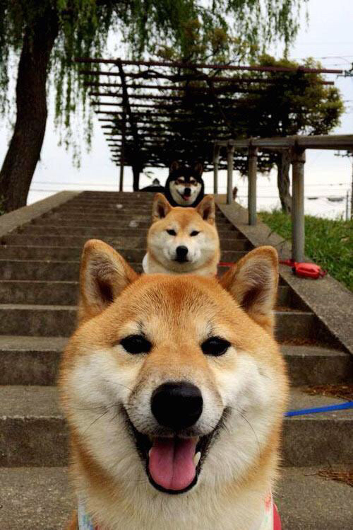 传统豪门铁幕溃散!保罗第三节狂飙扼杀绿军逆转希望