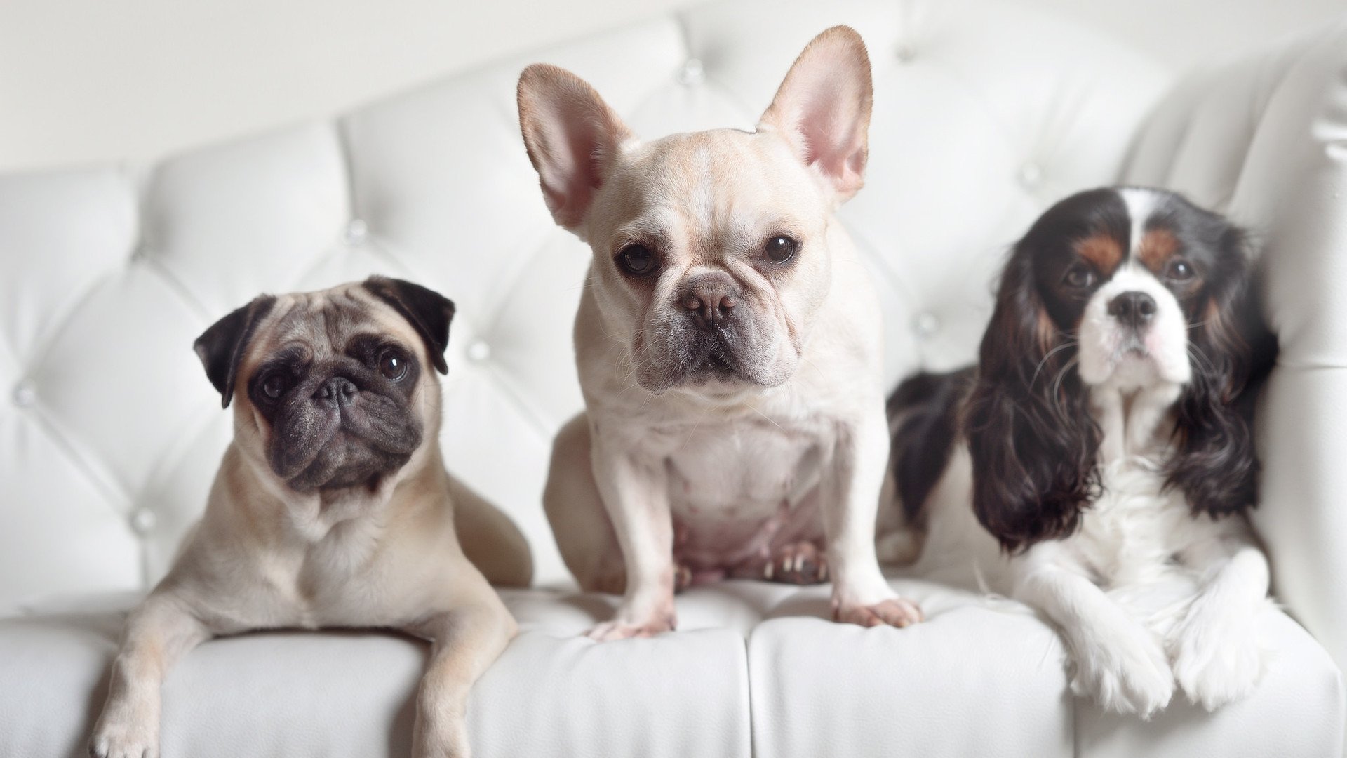 战术觉醒与精神逆袭，厄德高演绎委内瑞拉式胜利哲学