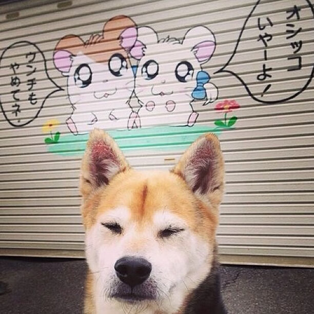 数字废墟中,恩比德如何用巨掌扼住奇才最后的叹息?