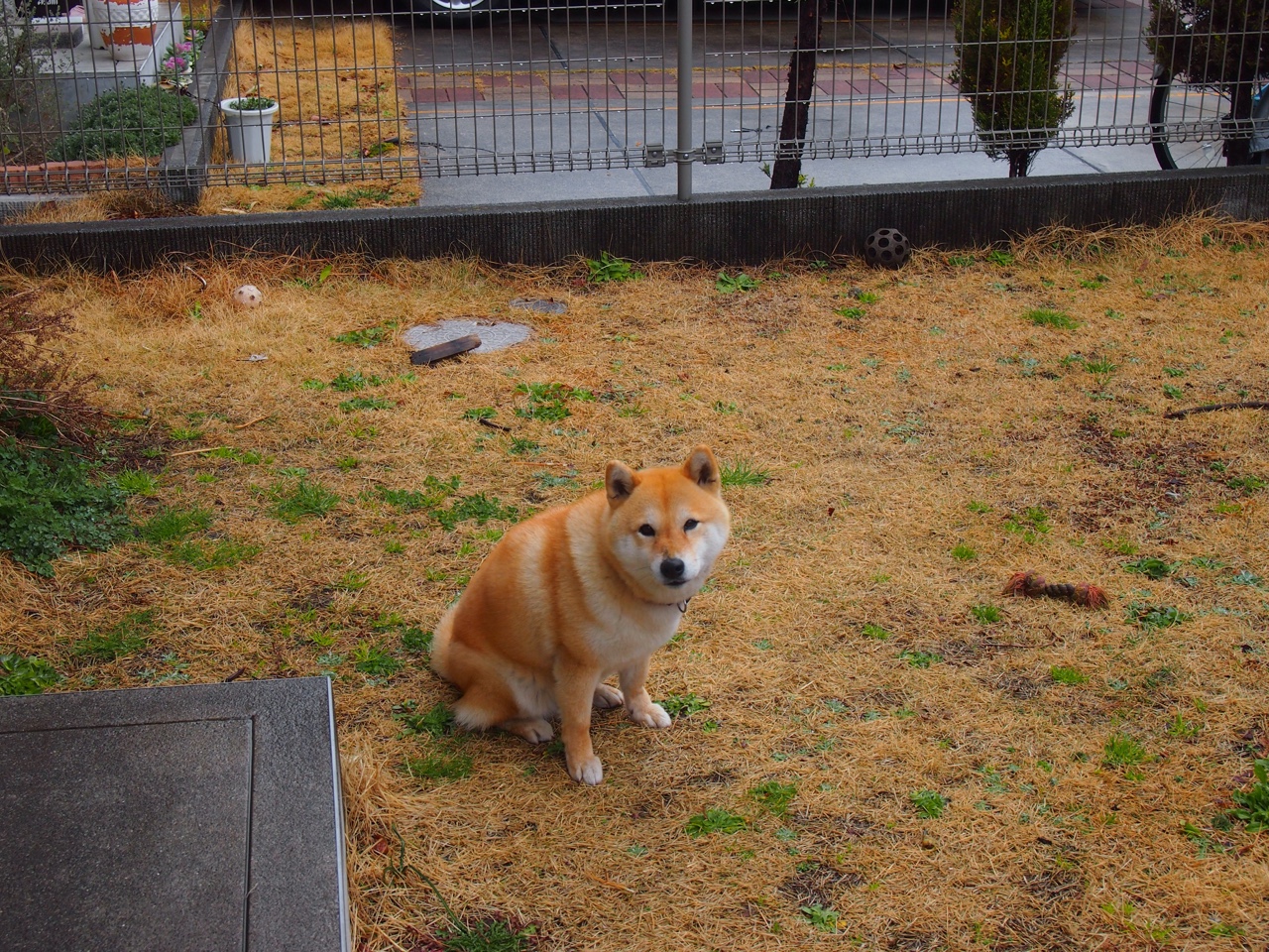 神话再临,希腊力克尤文,东决关键战引爆欧陆篮球之巅