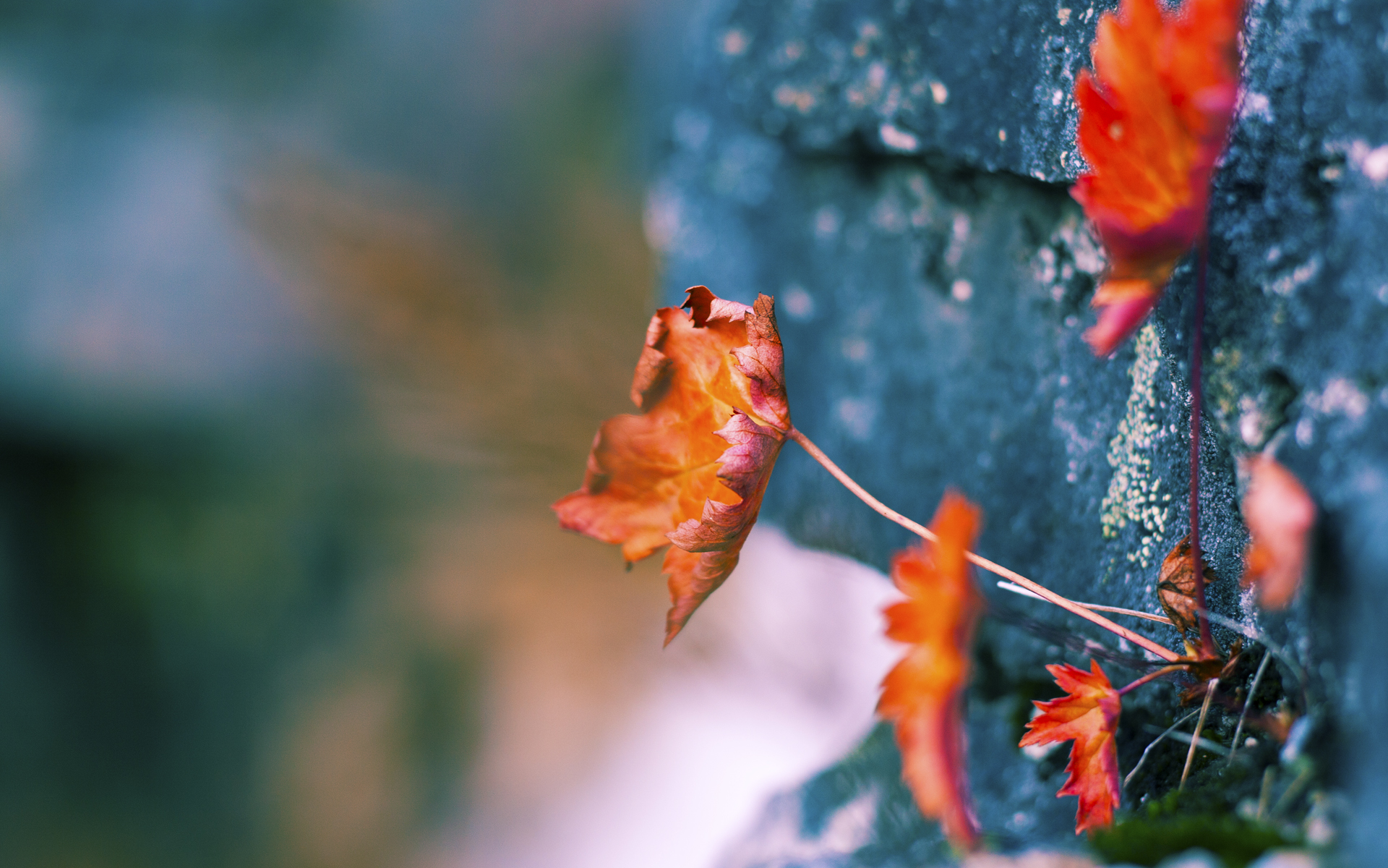 辽宁队逆袭雷霆，乔治末节封神，年度焦点之战的英雄时刻