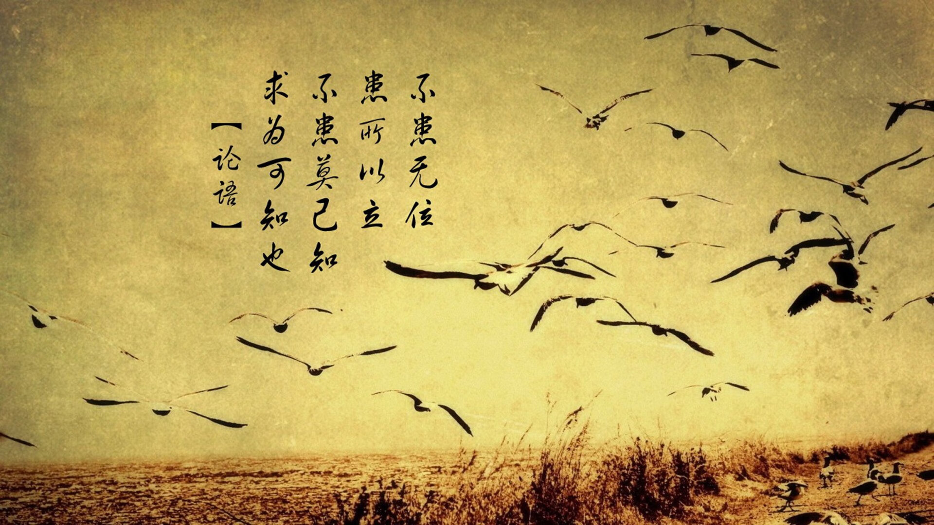 开云APP-铁血逆转，比利时绝地反击突尼斯，莫德里奇演绎不老传奇